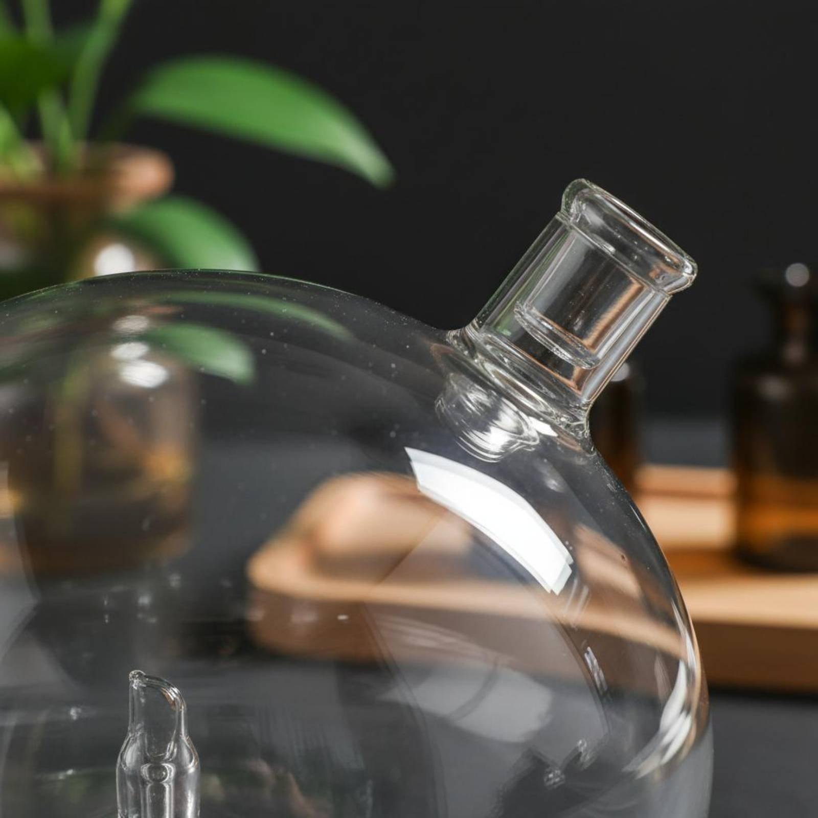 Универсальный стеклянный сменн – обзор и цена Home Fragrance